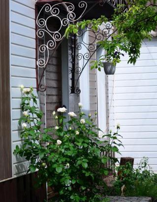 Krivoy Rog Apartamento | Cottages On Gdantsevskaya Street