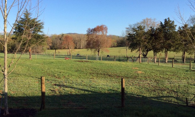 Free Union Cabaña | Country Bungalow close to Charlottesville, Wineries & Breweries