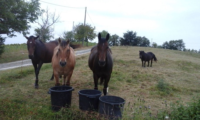 Montbernard Casa | Vacaciones en el campo en Gites Soulanserre
