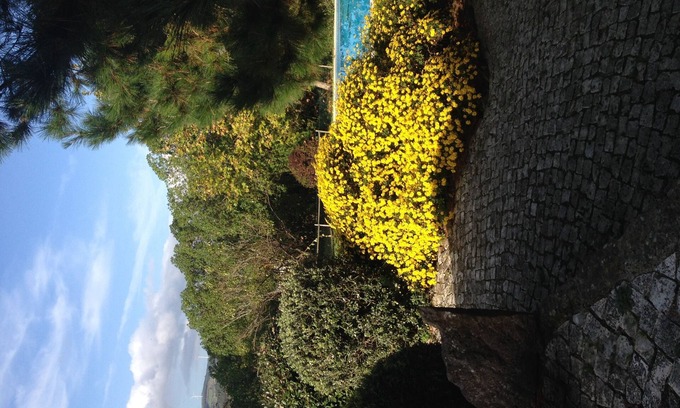 Carvalhal Benfeito Casa | Casa de vacaciones en Portugal - Casa da Murteira