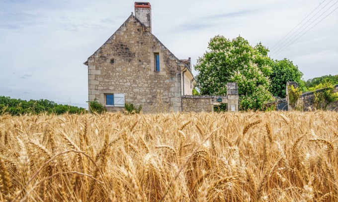 Crouzilles Cabaña | Country House in Southern Touraine with Swimming Pool for 8 People