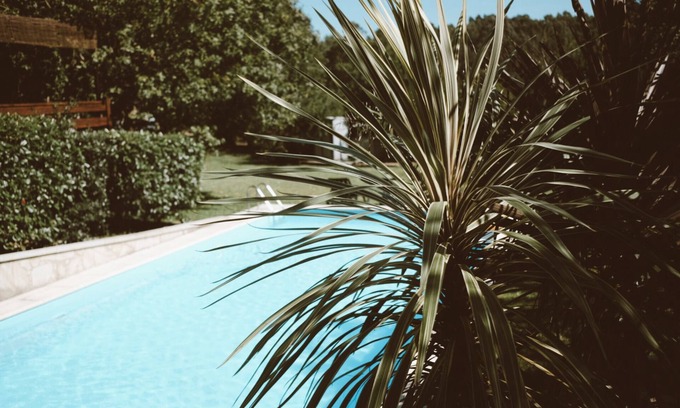 Castelo do Neiva Casa | Cabaña junto al río, con piscina y total privacidad