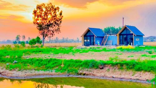 Ambala Otro | Countryman A-Frame