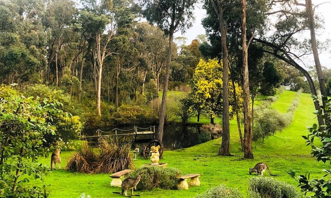 Hepburn Apartamento | Countryside Retreat romantic tranquil native wildlife township Hepburn - Daylesford