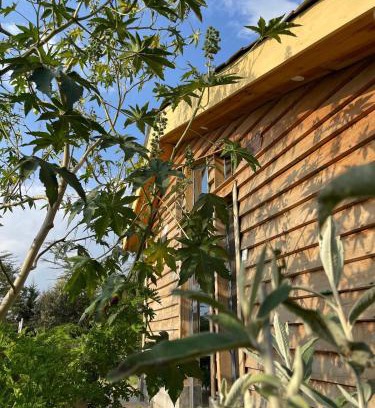 Naivasha Apartamento | Couple's Wood Cabin in Naivasha - Elwai Visitor Centre