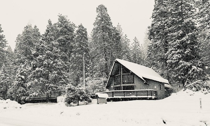 Forest Meadows Cabina | Cozy 4bd, 2bth cabin in Murphys, on 2 acres close to vineyards & Bear Valley!