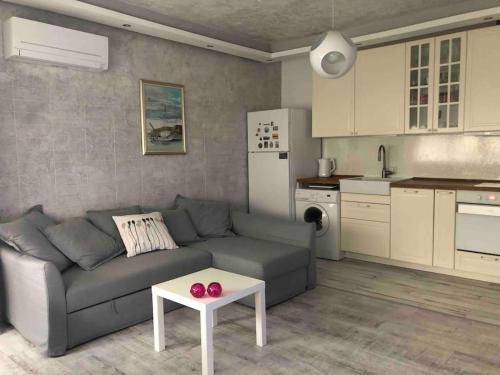 Sofia Apartamento | Cozy and modern apartment Krasno selo, free parking