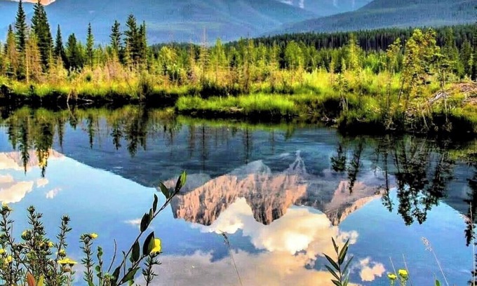 Cougar Creek Casa | Cozy and Private Suite just 20 minutes from Banff!