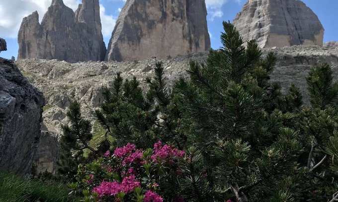 Alleghe Apartamento | COZY AND SPACIOUS ALPINE ATTIC ROOM WITH PETS ALLOWED