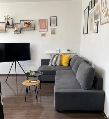 Sofia Apartamento | Cozy APT Free Parking Wi-Fi Netflix