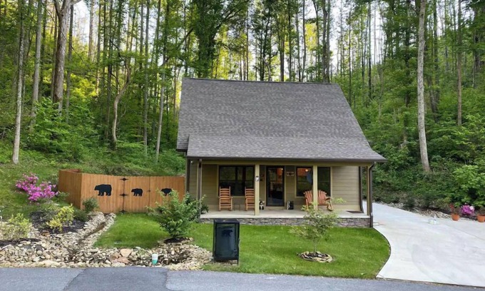 Gatlinburg Cabina | Cozy bear enjoy the peaceful quite and wildlife.