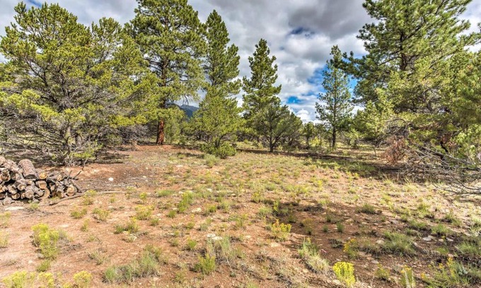 Buena Vista Apartamento | Cozy Buena Vista Apartment Less Than 4 Mi to Main Street!