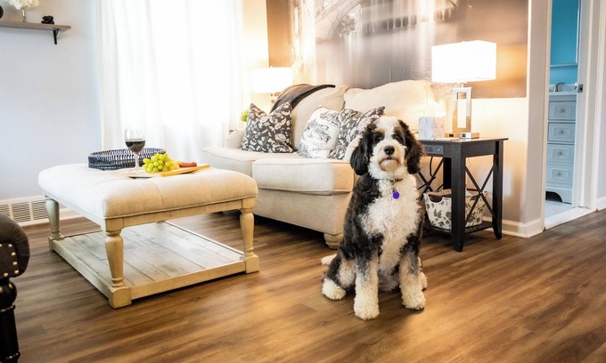 Dearborn Casa | Dearborn-Detroit. Comfort-Convenience. 12 Miles Downtown Detroit. Dog Friendly