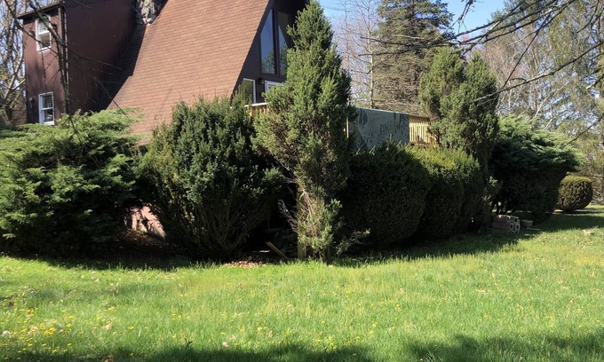 Fairlea Cabina | Cozy cabin in downtown Lewisburg WV close to snowshoe sky resort