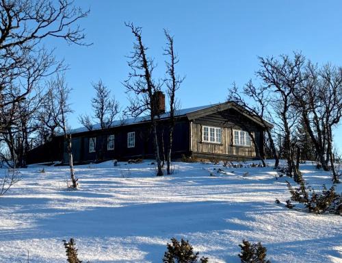 Al Municipality Casa | Cozy cabin near Geilo & Dagali terrace, grill, fireplace, view & WiFi