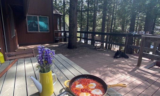 Mineral Cabina | Cozy Cabin near the entrance to Lassen National Park