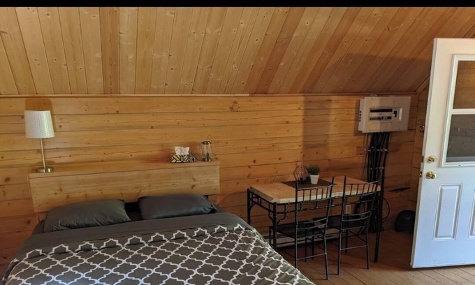 Clearwater Cabina | Cozy Cabin near Wells Gray