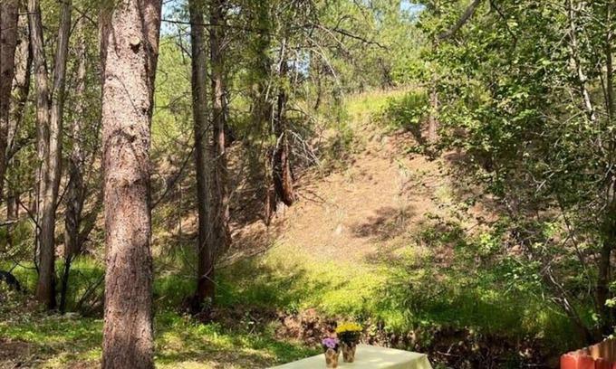 Cascade-Chipita Park Cabina | Cozy Cabin with Creek in Cascade-Chipita Park