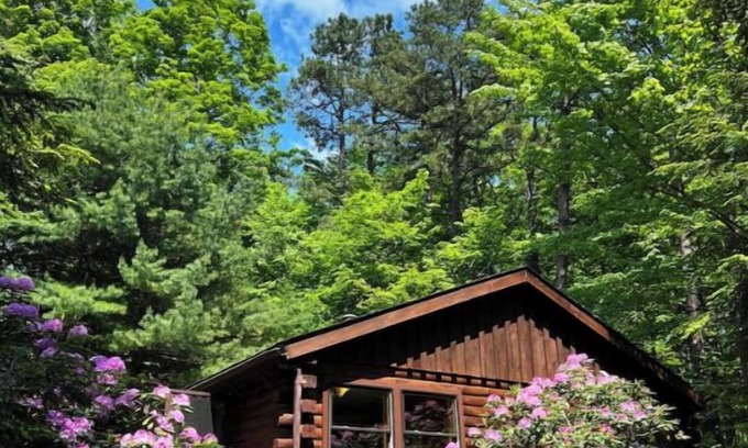 New Paltz Cabina | Cozy cabin with Mohonk Preserve access, wifi, AC, and adjacent studio building