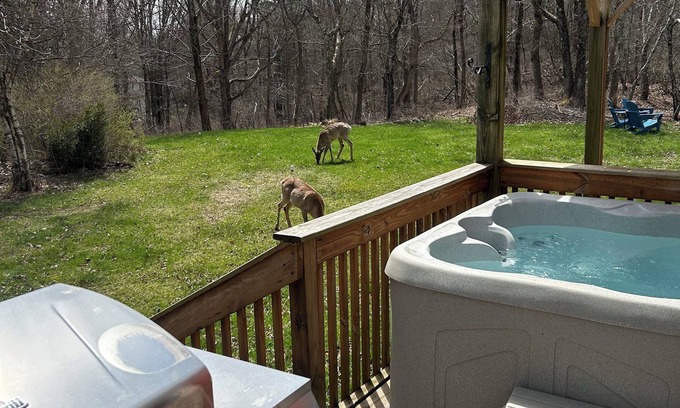 Long Pond Chalet De Esquí | COZY CHALET-CAMELBACK & KALAHARI; HOT TUB, PING PONG & POOL TABLE; GAS FIREPLACE
