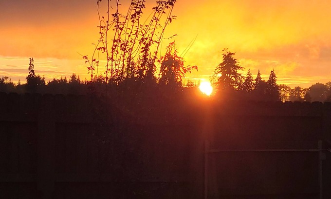 Sequim Apartamento | Cozy Cottage Retreat – Private Yard, Sunset Views & Peninsula Access