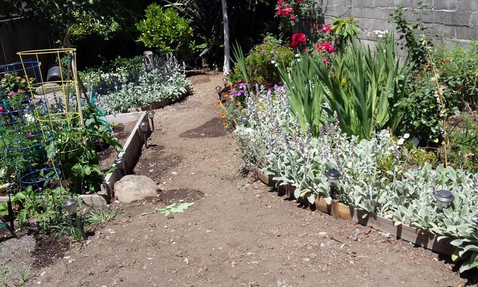 East Richmond Cama Y Desayuno | Cozy Cottage