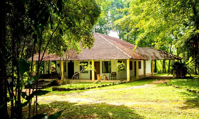 Hiyarapitiya Cabaña | Cozy Country Cottage on Hills (Near Kandy)