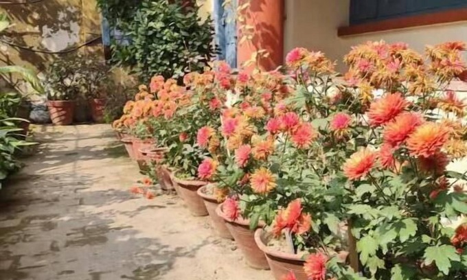 Varanasi Apartamento | Cozy Escape Nest, Varanasi