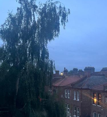 Lea Bridge Apartamento | cozy flat in London