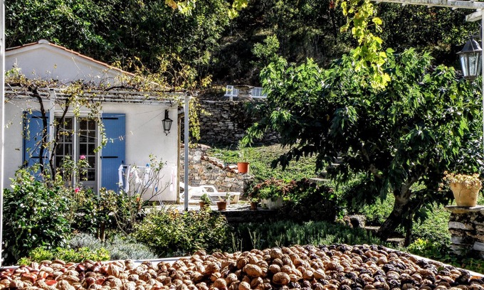 Courniou Casa | Cozy house with swimming pool surrounded by nature's beauty