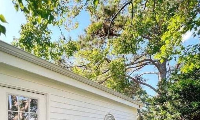 Myrtle Grove Casa | Cozy loft with parking and private patio with barbecue grill