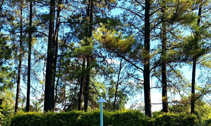 Sao Jose da Lapa Casa | Aconchegante sitio en condominio cerrado. Menos de 10 minutos de la cid. administrativo
