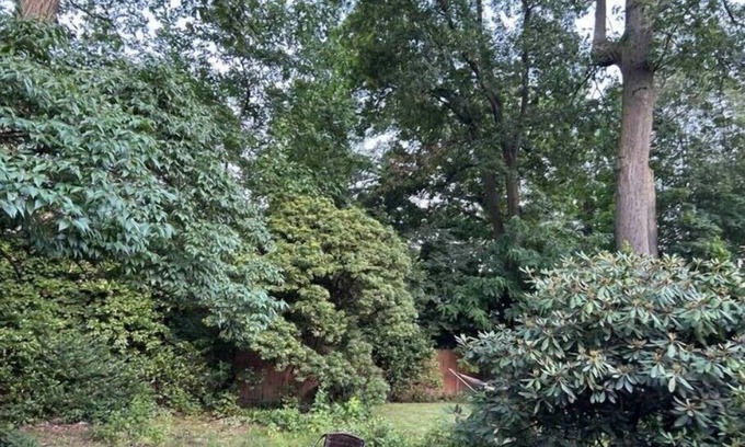 Teaneck Apartamento | Cozy Private suite mins away from NYC