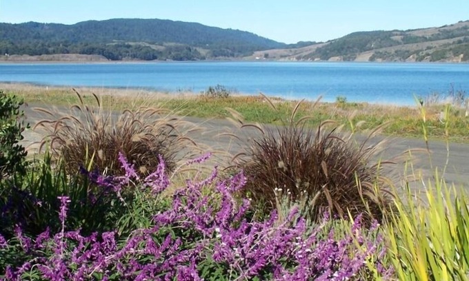 Stinson Beach Casa | Acogedor relajante Stinson Beach Getaway