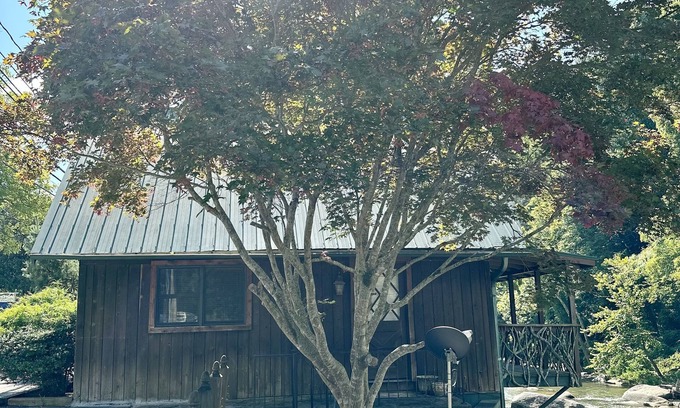 Bat Cave Cabina | Cozy River Cabin with river access and minutes from Chimney Rock state park