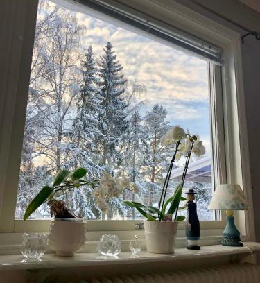 Falun Casa | Cozy room surrounded by nature