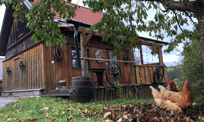 Langschlag Casa | Cozy, rustic vacation home in a fantastic location
