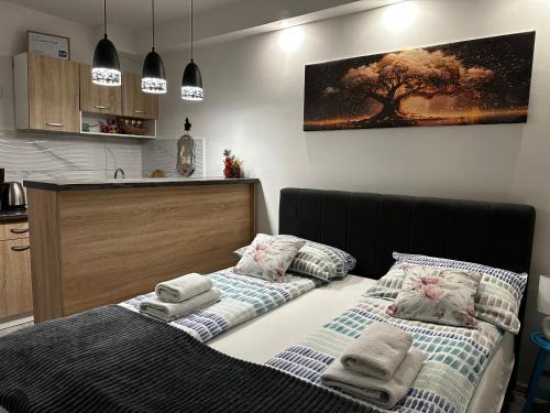 Doboj Apartamento | Cozy studio Cik-Cak