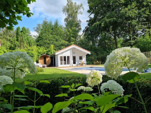 Waasmunster Casa | Cozy tiny house with swimming pool & outdoor sauna