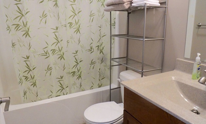 Mason City Condominio | Cozy updated Condo. Close to shopping and restaurants.