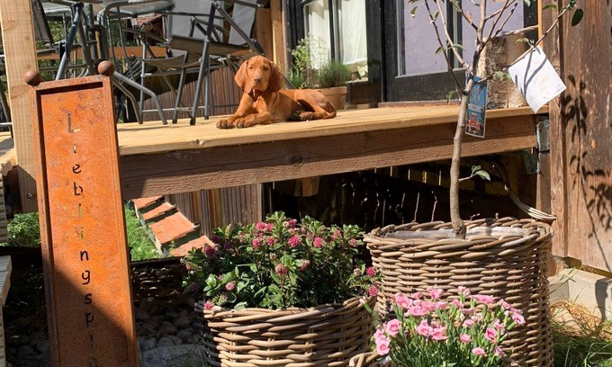 Neunburg vorm Wald Apartamento | Cozy vacation apartment for 4 people