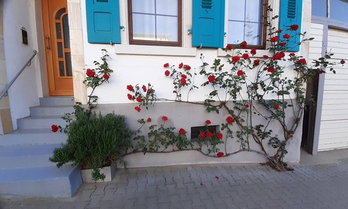 Langenbrucken Otro | Cozy vacation apartment with tiled stove, near Heidelberg and the Black Forest