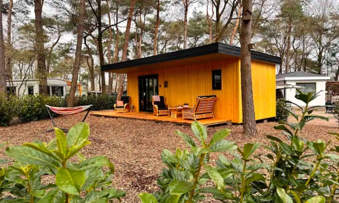 Zuidwolde Cabina | Cozy woodland retreat hideaway nestled in serene forest beauty. Pet-Friendly!
