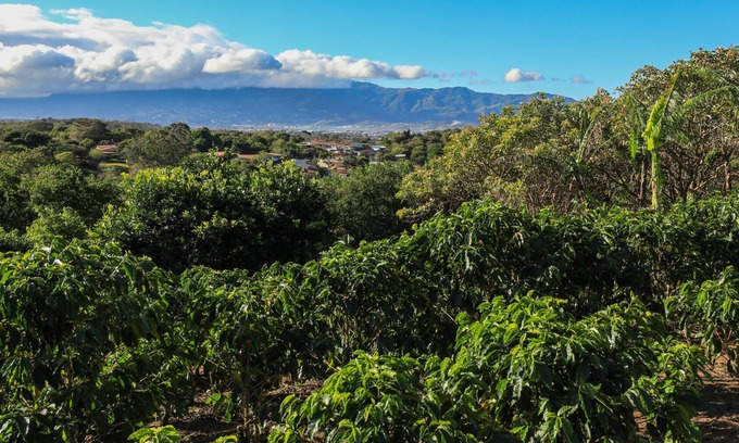 Santa Barbara de Heredia Casa | 2 Bedroom, 2 Bath Office, Open Floor Plan on beautiful coffee farm