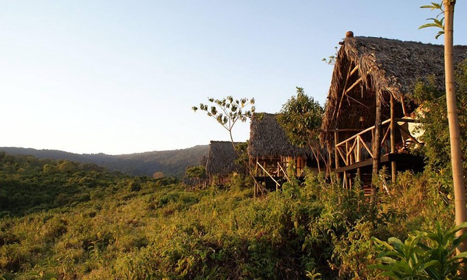 Ngorongoro Conservation Area Otro | Crater Forest Tented Camp