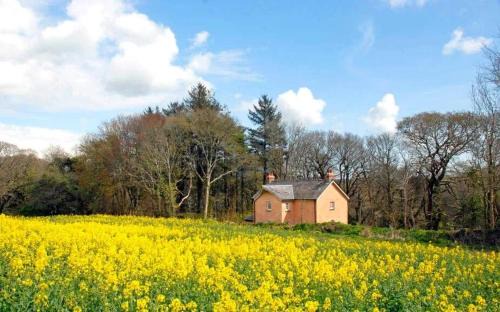 Cosheston Casa | Creek Cottage - get away from it all that this stunning cottage
