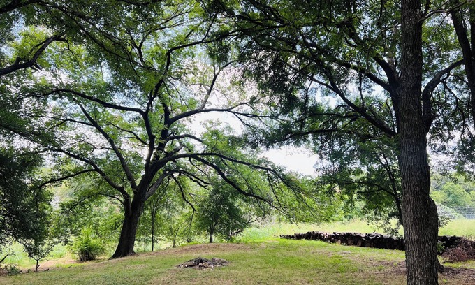 Austin Cabaña | Creekside Cottage in the City, 1 BR, addt’l sleeper sofa, AC & all amenities