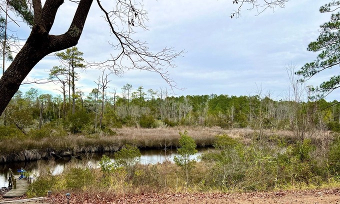 Holly Ridge Cabaña | Creekside Cottage on 48 Acres - Pet Friendly- 3 BR 2BA/Sleeps 6 - Next To Nature