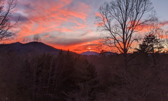 Leicester Apartamento | Critter Hill Studio Apt. cerca del centro de Asheville y de la Blue Ridge Parkway