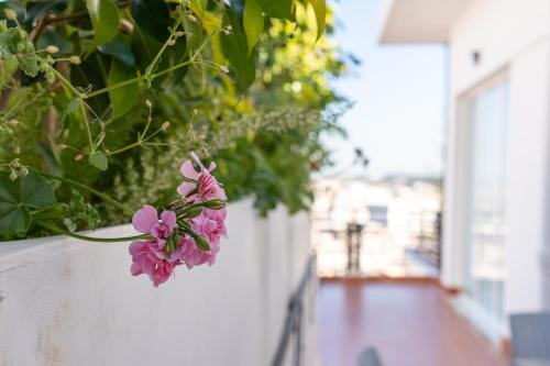 Algiers Apartamento | Cross views city, sea